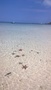 Capt Robbie - Bahamas